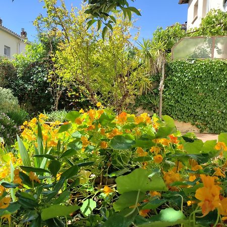 Les Papillons Apartment Perpignan Exterior foto